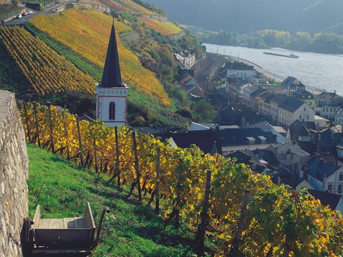 Weinberge Rüdesheim am Rhein