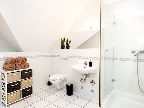 Waschtisch, Wandspiegel und Dusche