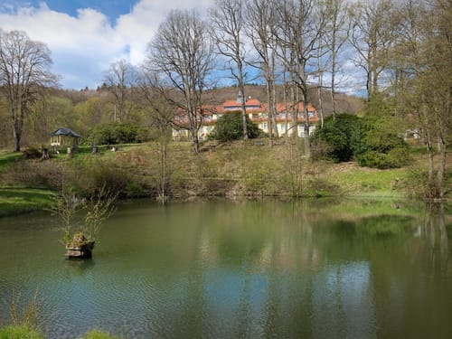 Park mit einem See
