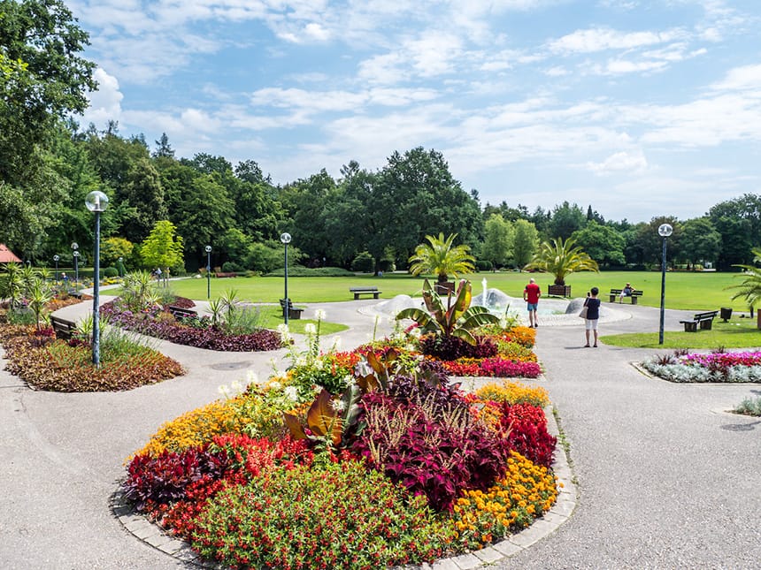 Park mit sehenswerten Pflanzen