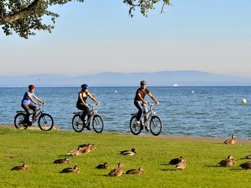 Radfahrer am Bodensee