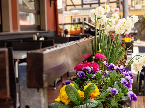Terrasse mit Blumenkästen