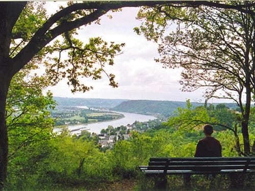 atemberaubender Blick auf den Rhein