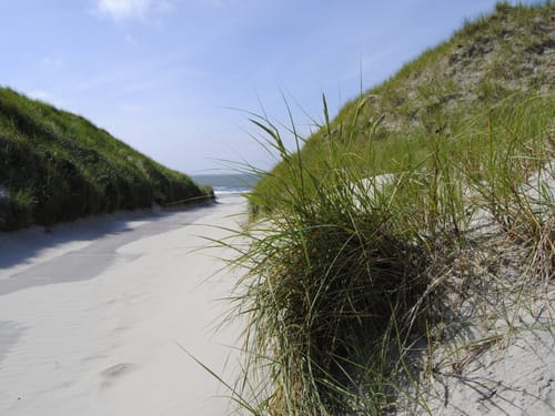 Düne am Meer