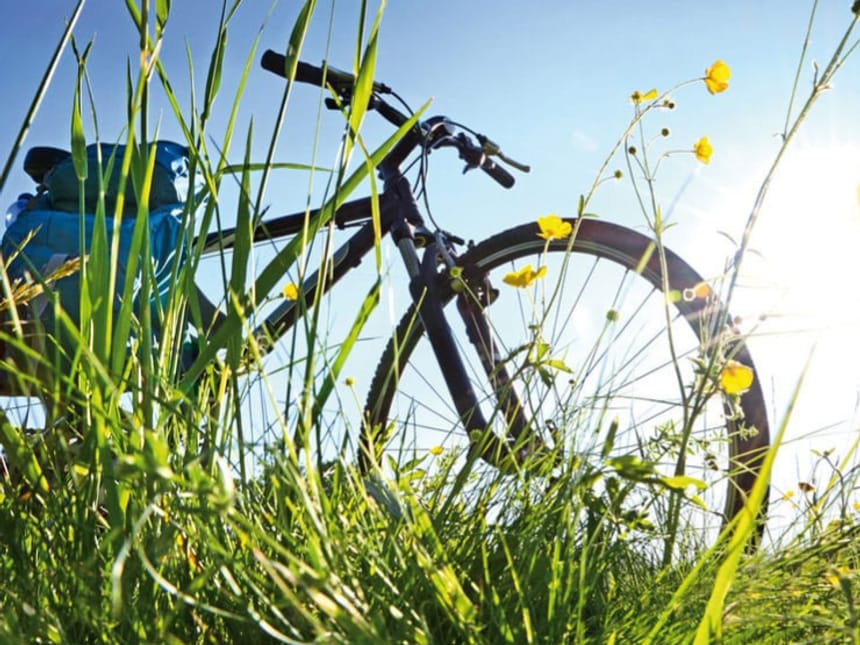 Fahrrad auf einer Wiese