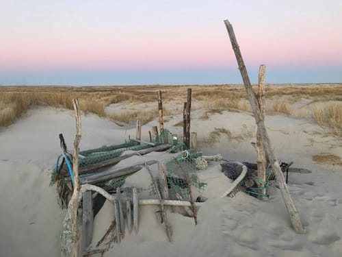 Dünen auf Amrum