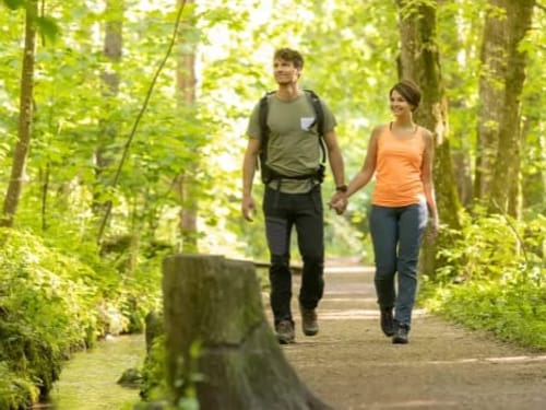 Wanderndes Paar im Wald