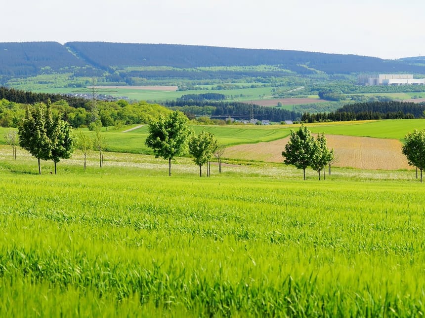 grüne Wiesen und weite Sicht auf die Felder