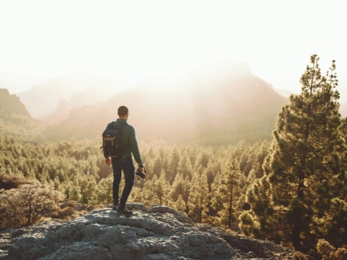 Wanderer auf Berggipfel genießt atemberaubende Aussicht über Kiefernwald und Berge