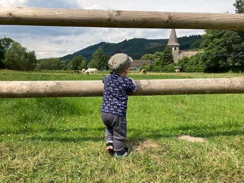Kind stehend am Holzzaun auf der grünen Wiese