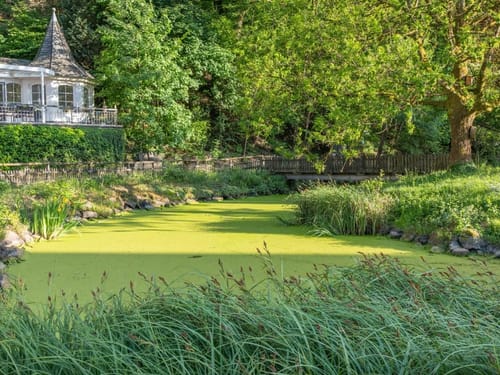 Hotelgarten mit kleinem See