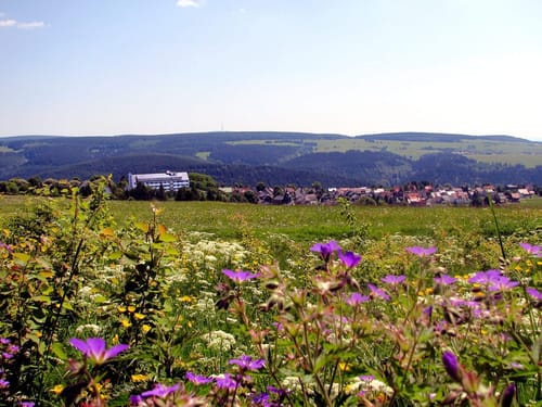 Umgebung von Masserberg im Thüringer Wald