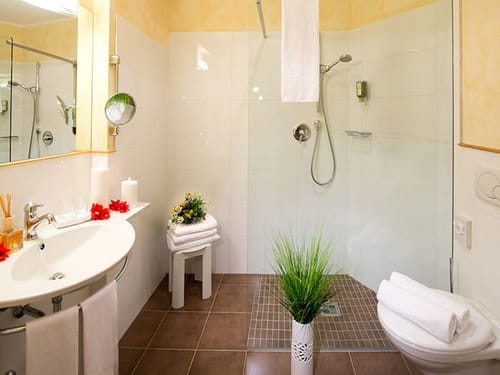 Badbereich mit Dusche, Waschtisch und großem Wandspiegel