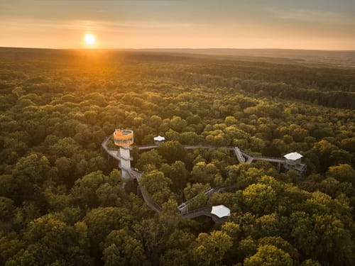 in Baumwipfelpfad mit zentralem Aussichtsturm liegt eingebettet in einem dichten Laubwald und erstrahlt im goldenen Licht des Sonnenuntergangs
