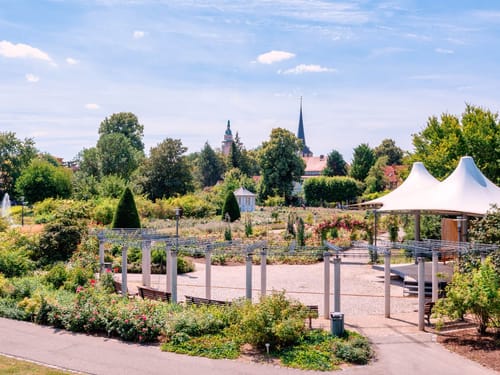 Blick über den blühenden Rosengarten mit klassischer Pergola und historischer Kirchturmsilhouette im Sommer