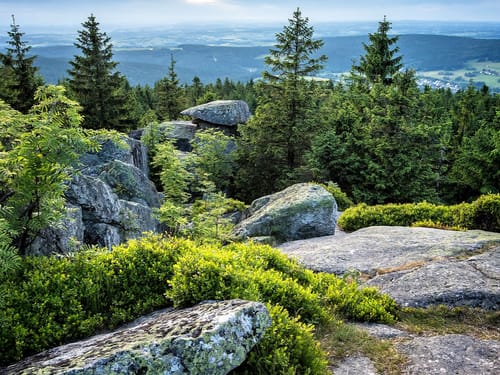 Blick über den Bayerischen Wald mit Felsen und dichten Nadelbäumen im Vordergrund.