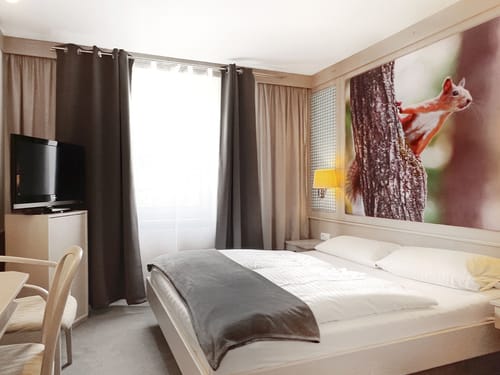 Modernes Hotelzimmer mit Eichhörnchen-Wandbild
