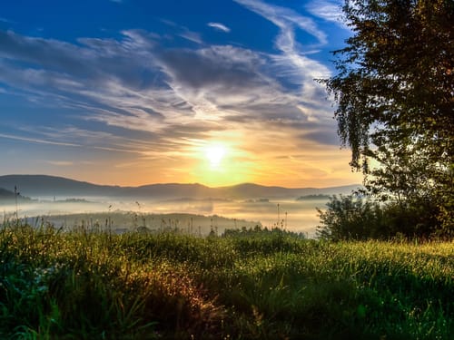 Sonnenaufgang über nebliger Landschaft mit Wiesen und Bäumen im Vordergrund.