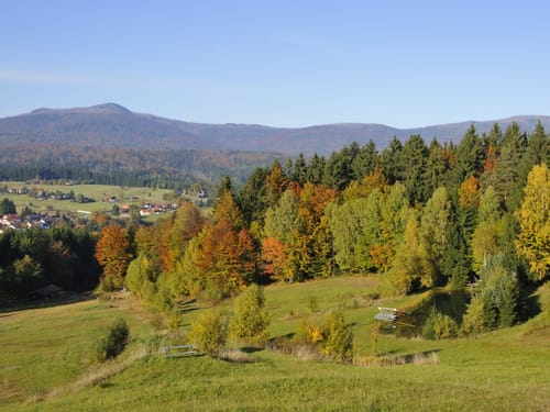 Herbstlandschaft im Bayerischen Wald mit bunten Bäumen und Dorf im Hintergrund