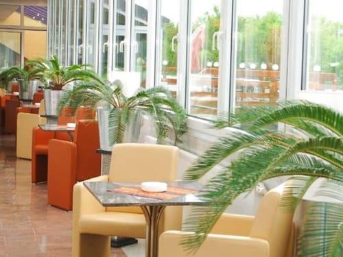 Moderne Café-Lounge mit bequemen Sesseln und Palmenpflanzen