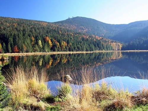Malerische Landschaft mit Bergsee und Wald im Herbst