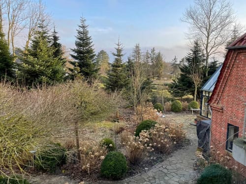 Ruhiger Garten mit Bäumen und Backsteinhaus im Hintergrund