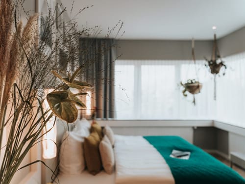 Modernes Schlafzimmer mit grüner Bettdecke und Pflanzen.