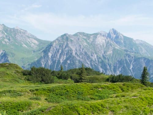 Alpenlandschaft mit grünen Wiesen und beeindruckenden Berggipfeln