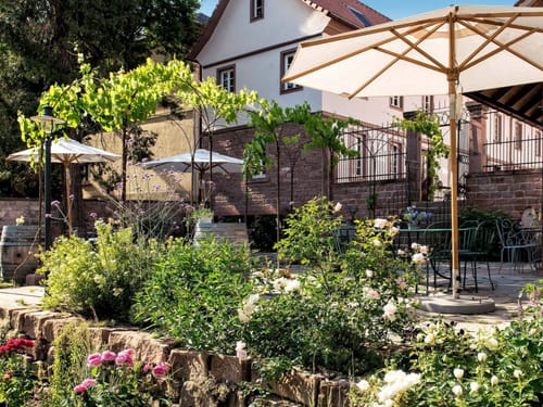 Sonniger Gartenterrasse mit üppiger Bepflanzung, Schirmen und stilvoller Sitzgelegenheit vor einem charmanten Gebäude.
