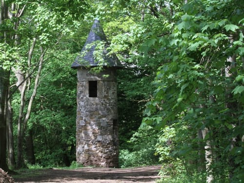 Alter Turm im Wald