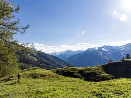 Blick in die Berge bei Sonnenschein