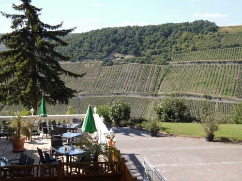 Blick auf die wunderschönen Weinberge