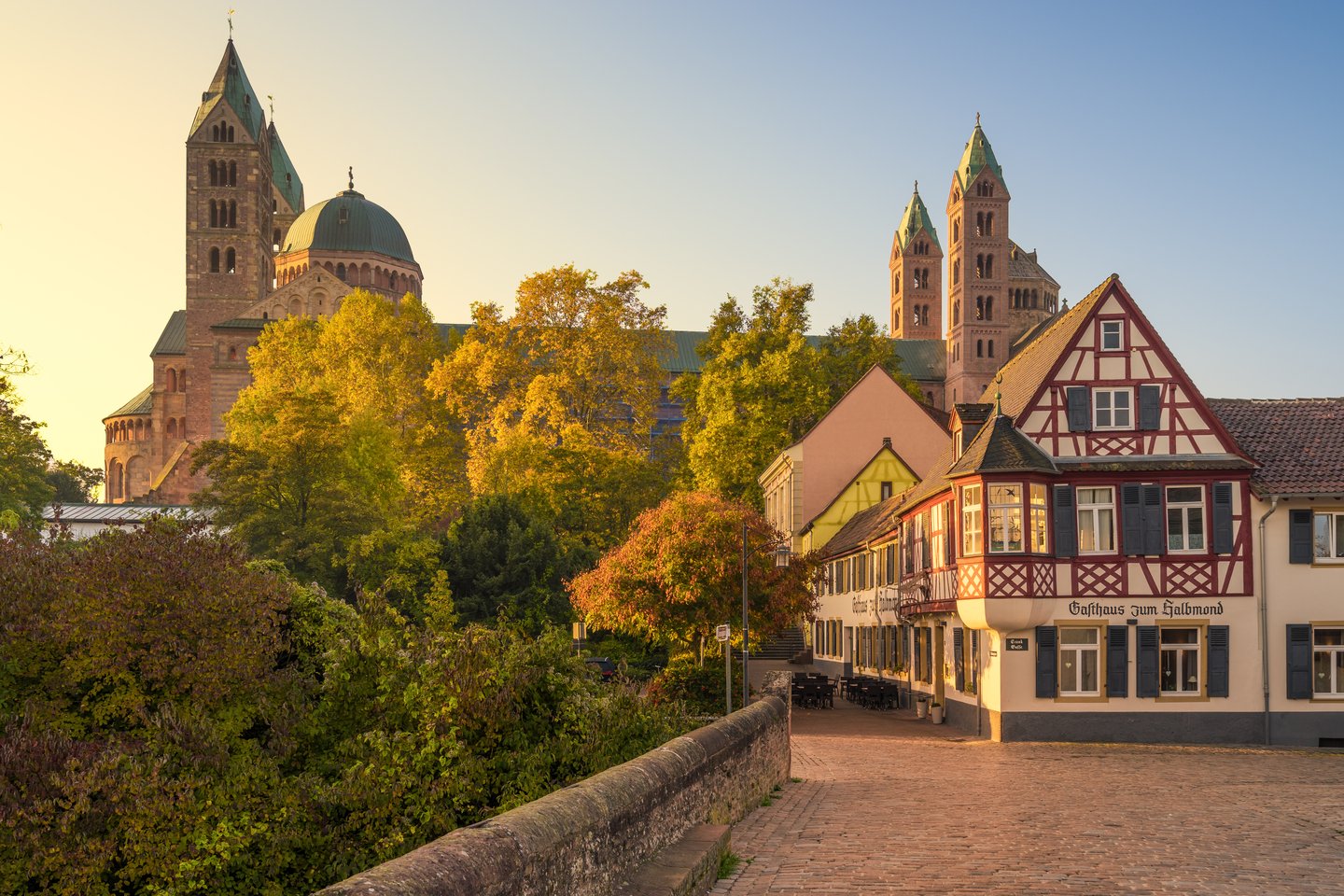 Weinberge bei Speyer – herbstliche Pfalzlandschaft