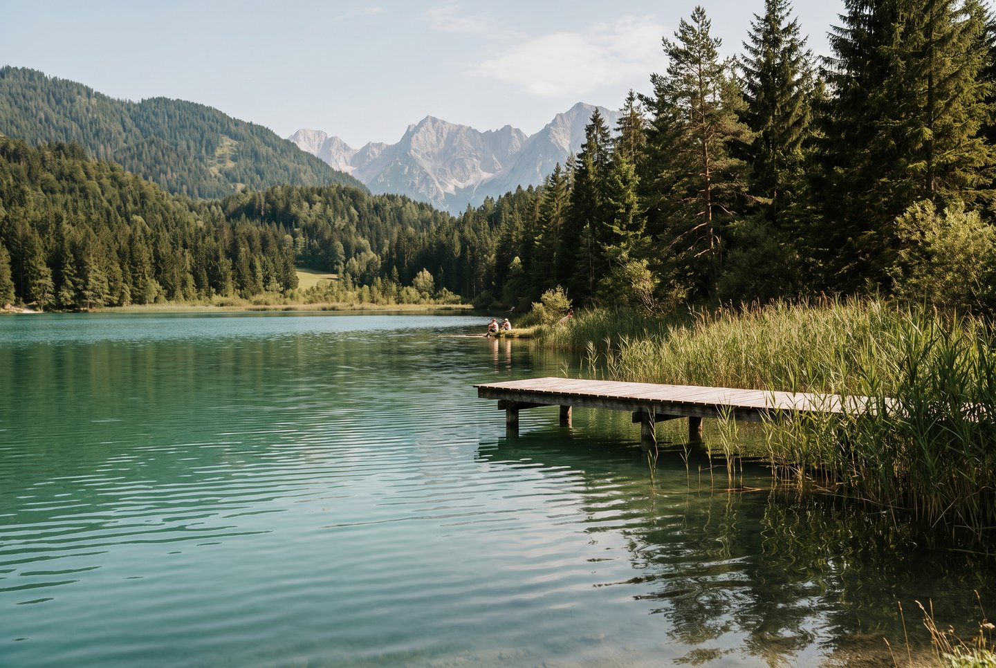 Baden am Schwarzsee bei Kitzbühel Naturbadesee Schwarzsee bei Kitzbühel mit Schilf und Bergkulisse im Sommer