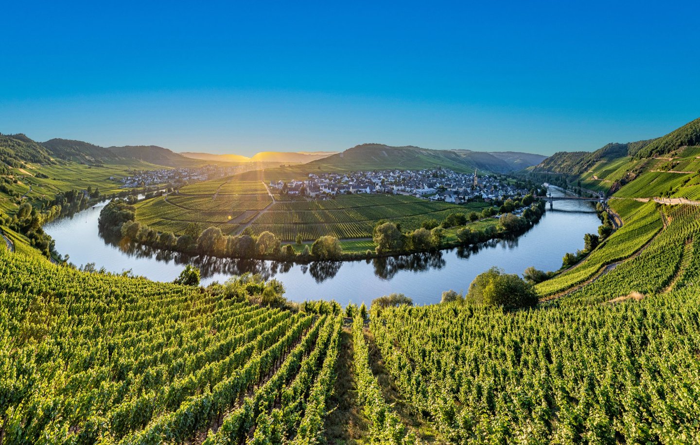 Moselschleife Rheinland-Pfalz Panoramablick auf die Moselschleife mit Weinbergen und Winzerdorf in Rheinland-Pfalz