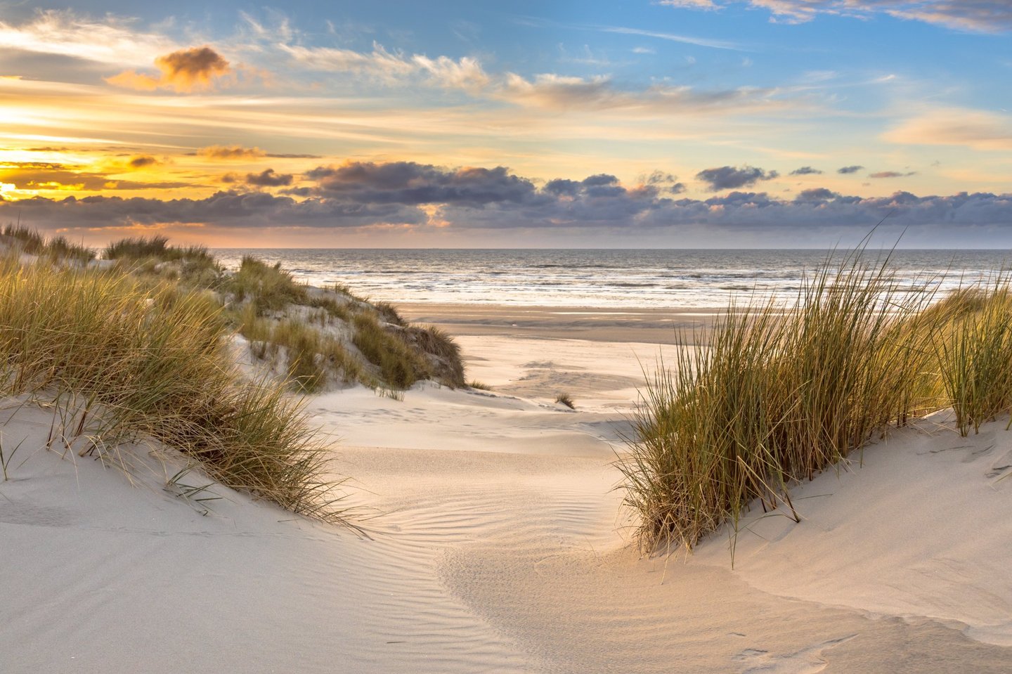 Dünenlandschaft Ostfriesland Sanddünen mit Strandgras an der ostfriesischen Nordseeküste bei Sonnenuntergang