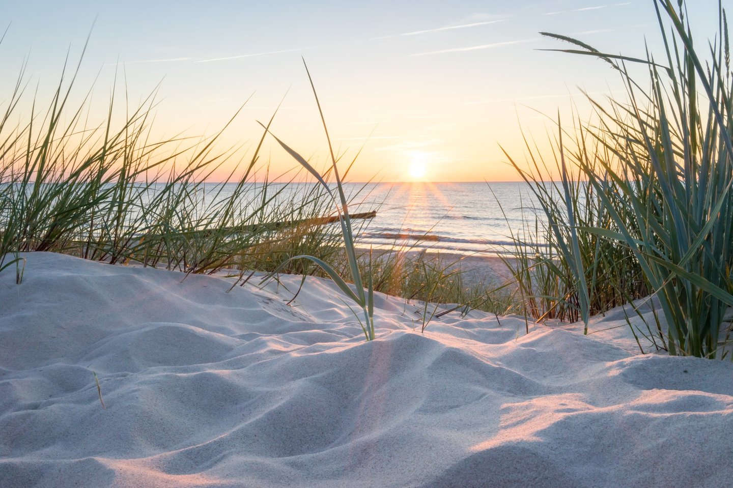 Sonnenaufgang Nordsee Ostfriesland Strandgras am Nordseestrand bei Sonnenaufgang in Ostfriesland