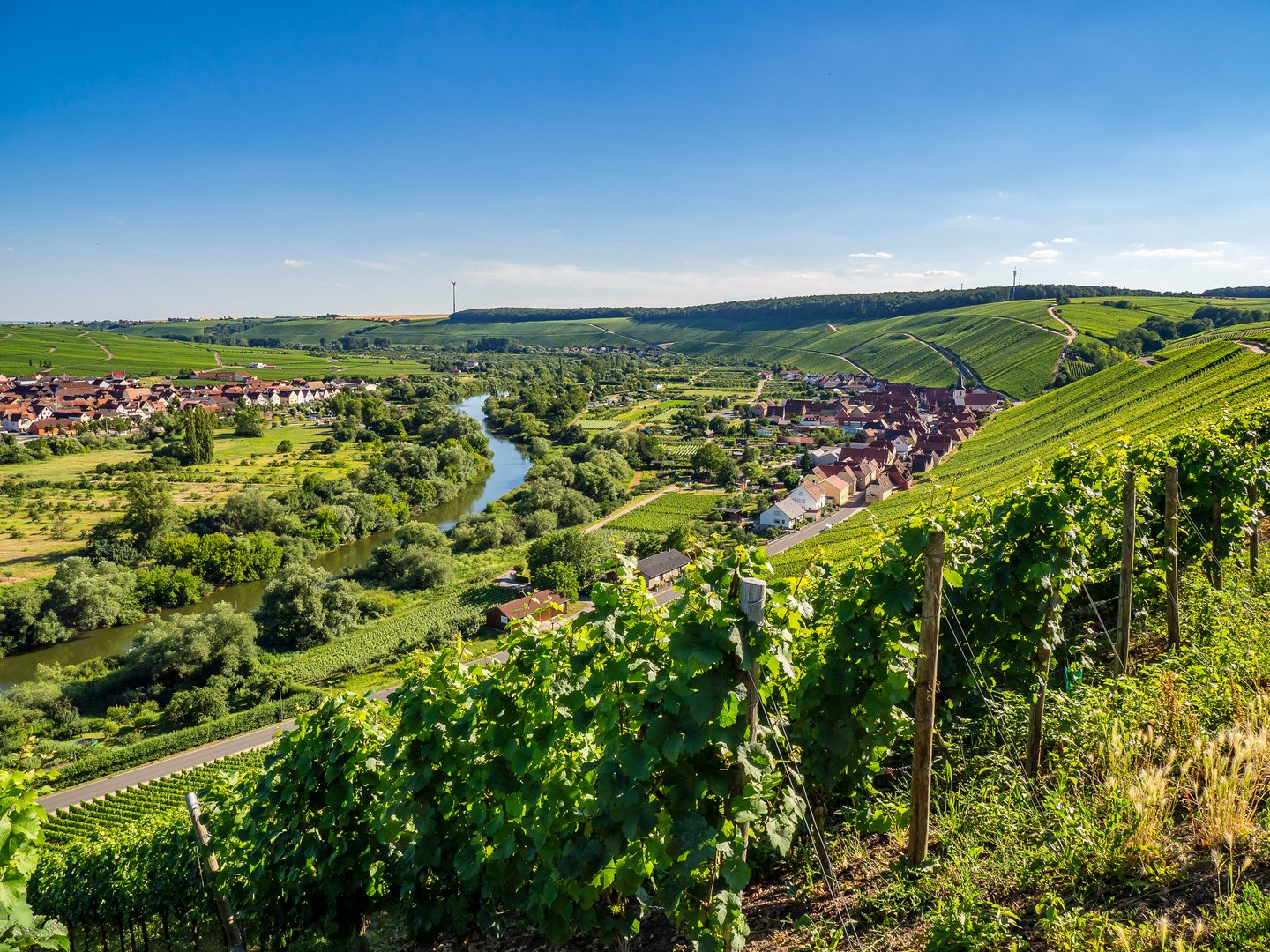 Mainschleife bei Volkach – malerische Flusslandschaft an der Romantischen Straße