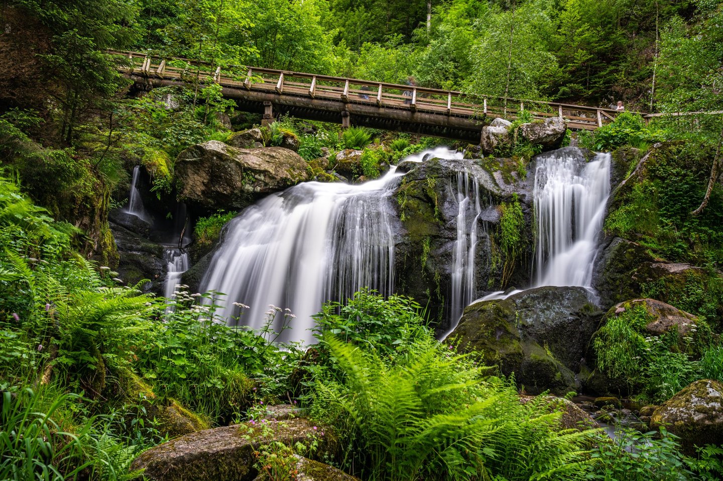 Die berühmten Triberger Wasserfälle im Schwarzwald mit Holzbrücke und üppiger Vegetation