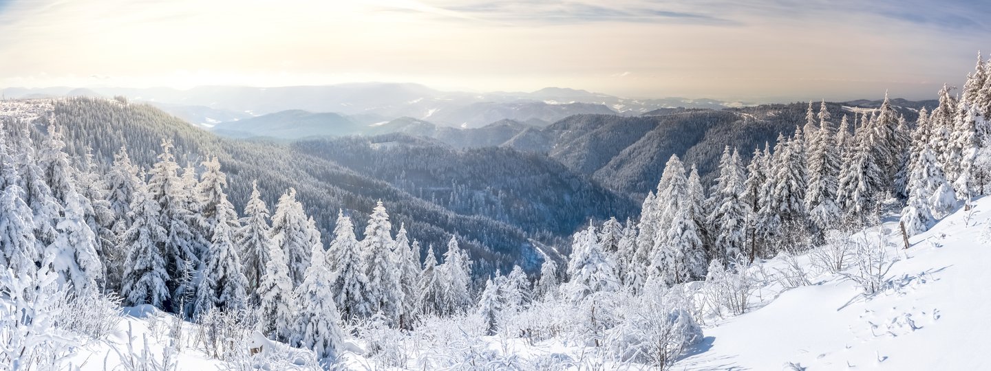 Verschneiter Schwarzwald Panorama im Winter – weite Landschaft mit Tannen