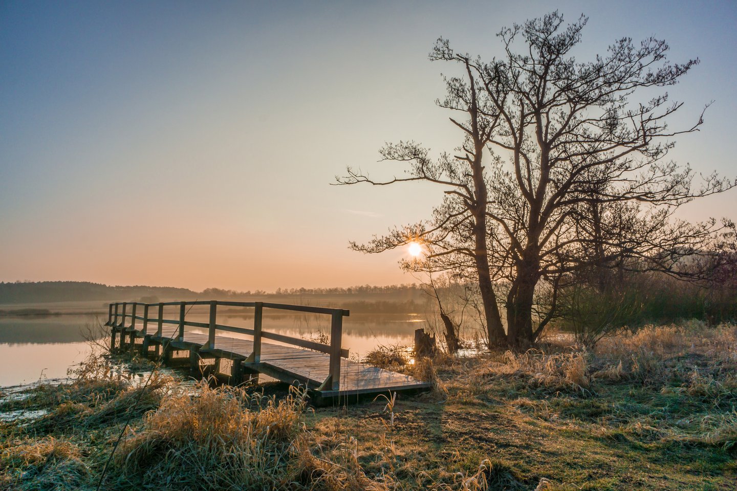 Holzsteg an einem stillen See in der Vulkaneifel bei Sonnenaufgang – perfekte Szene für eine erholsame Wellnessauszeit.