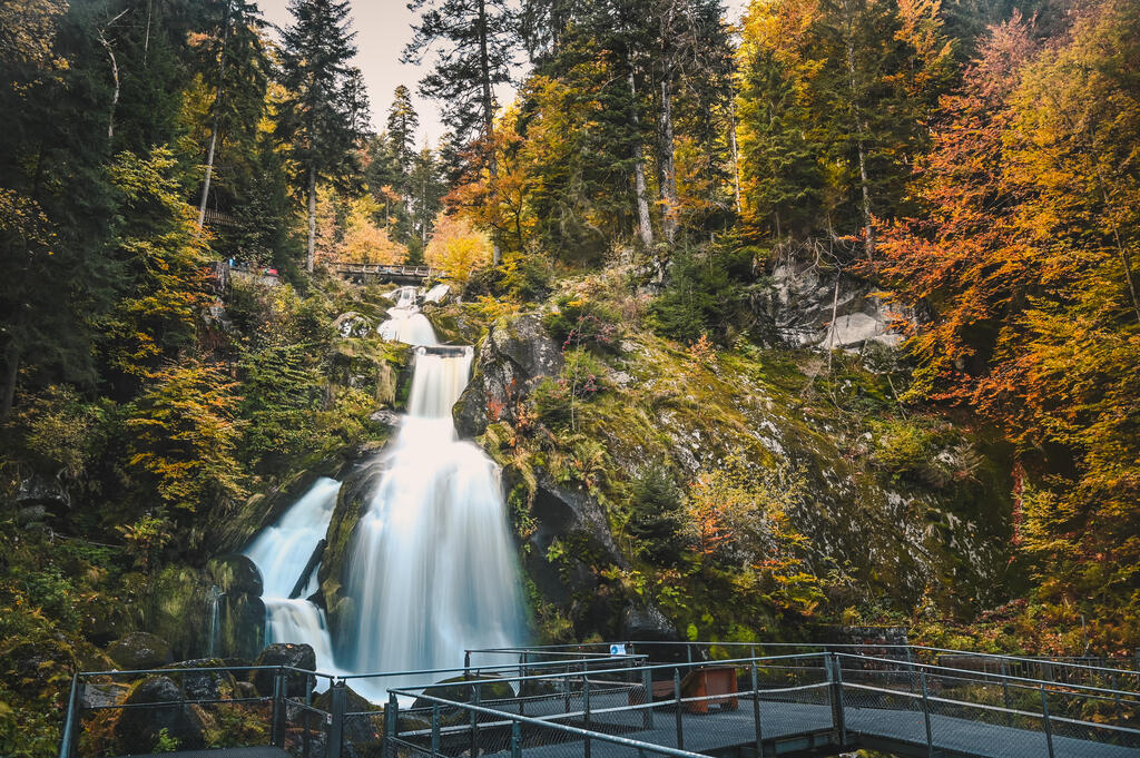 Schwarzwald