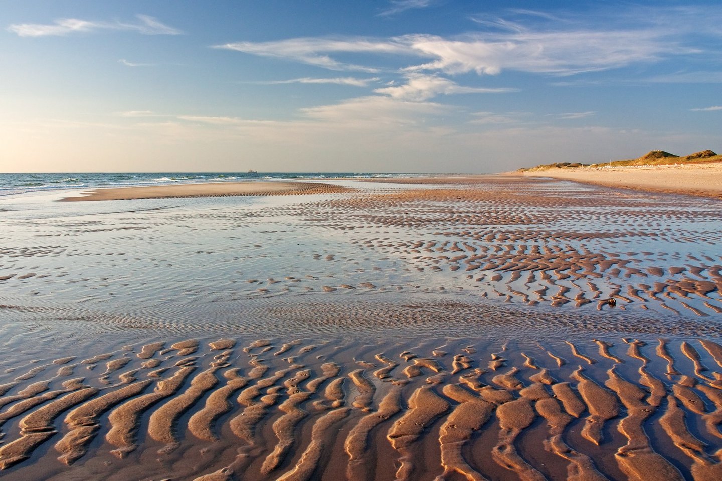 Wattenmeer UNESCO-Weltnaturerbe UNESCO-Weltnaturerbe Wattenmeer bei Ebbe mit typischen Rippelmustern